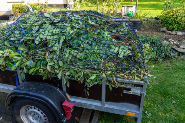Best Shed Removal  in Dilworth, MN